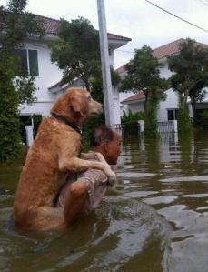 man save flood dog